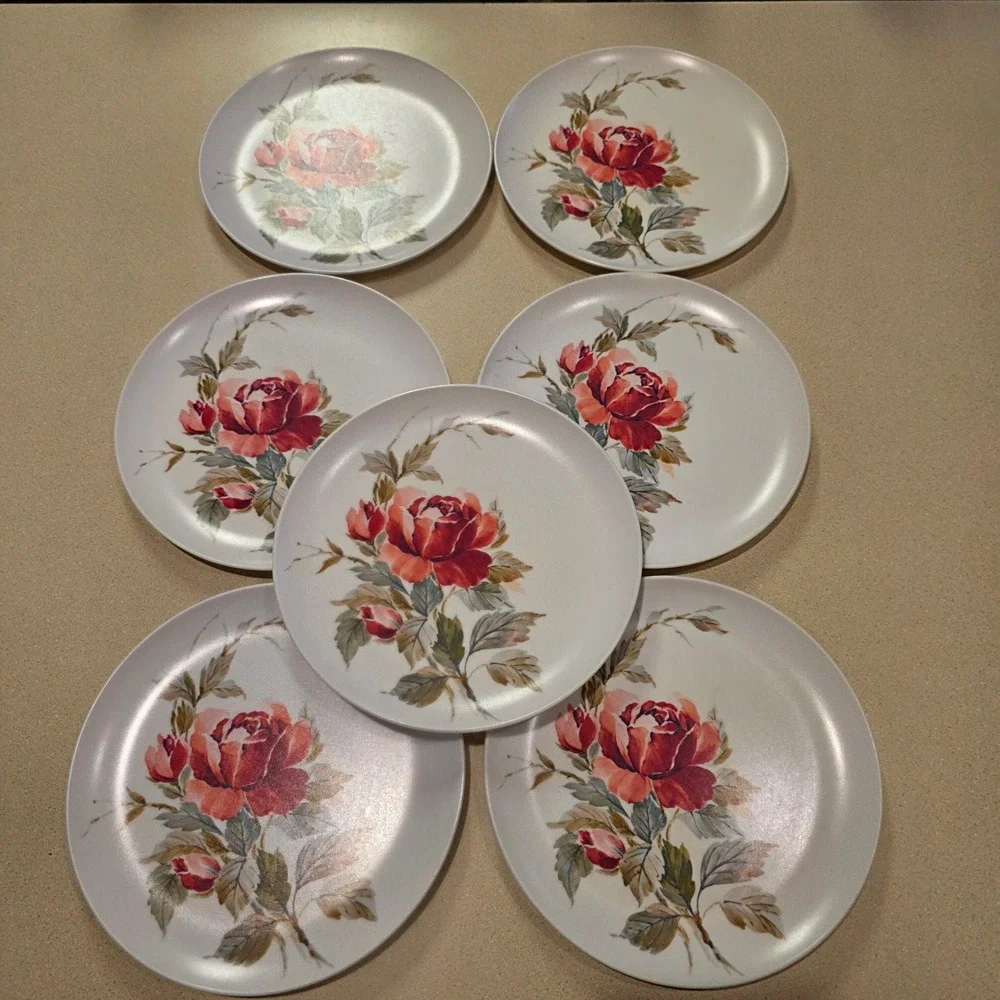 Melamine Dinner Plates 9